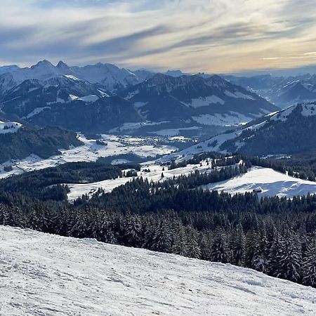 Confortable Chalet Avec Magnifique Vue En Gruyere. Шарме Экстерьер фото