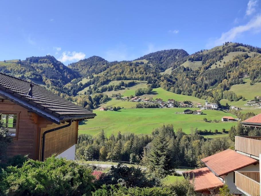Confortable Chalet Avec Magnifique Vue En Gruyere. Шарме Экстерьер фото