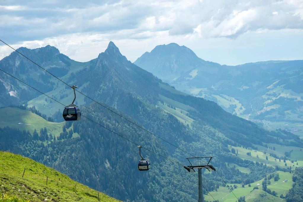Confortable Chalet Avec Magnifique Vue En Gruyere. Шарме Экстерьер фото