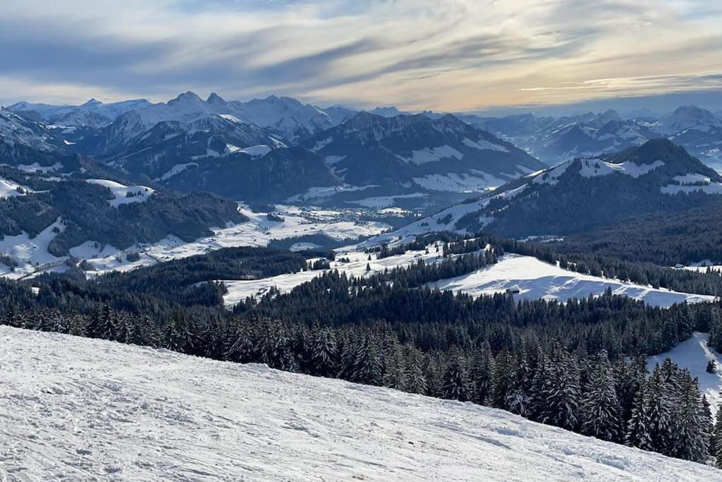 Confortable Chalet Avec Magnifique Vue En Gruyere. Шарме Экстерьер фото